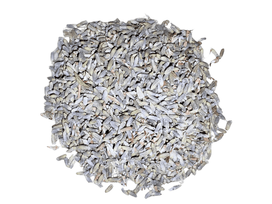 Lavender Flower Ultra (Lavandula X Intermedia) – Dried Loose Leaf 4oz - Alchemy Herbarium